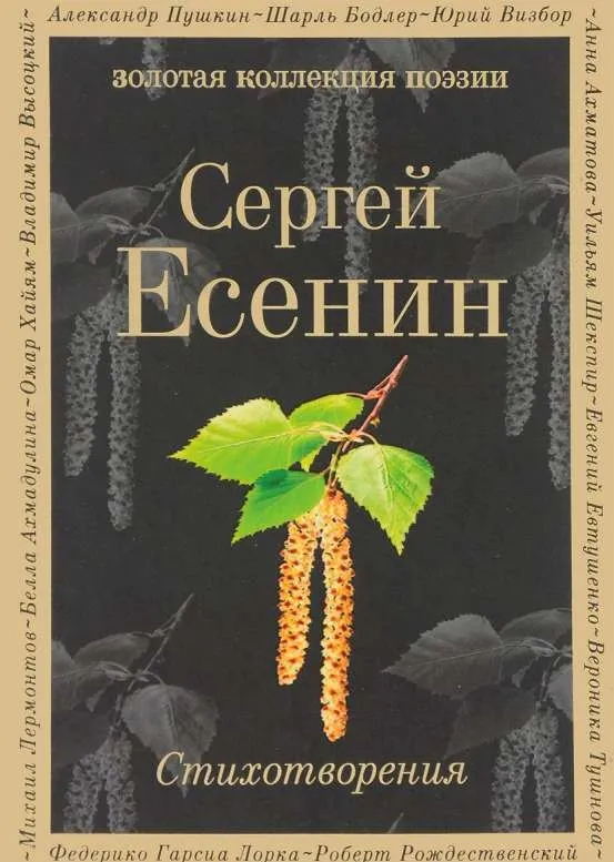 9785699984954_0-1.webp Стихотворения. ЕСЕНИН С.А.