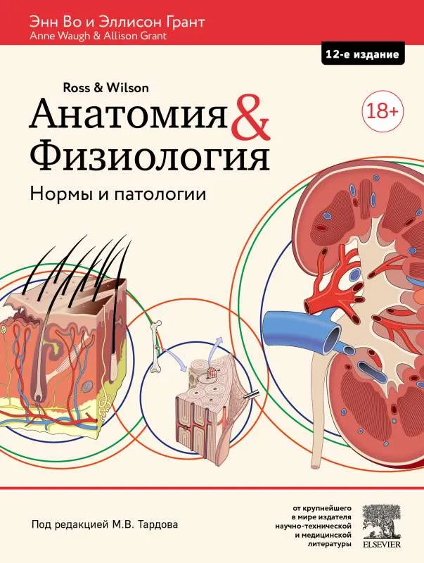 9785699985548_0-1.webp Анатомия и физиология. Нормы и патологии. ВО Э., ГРАНТ Э.